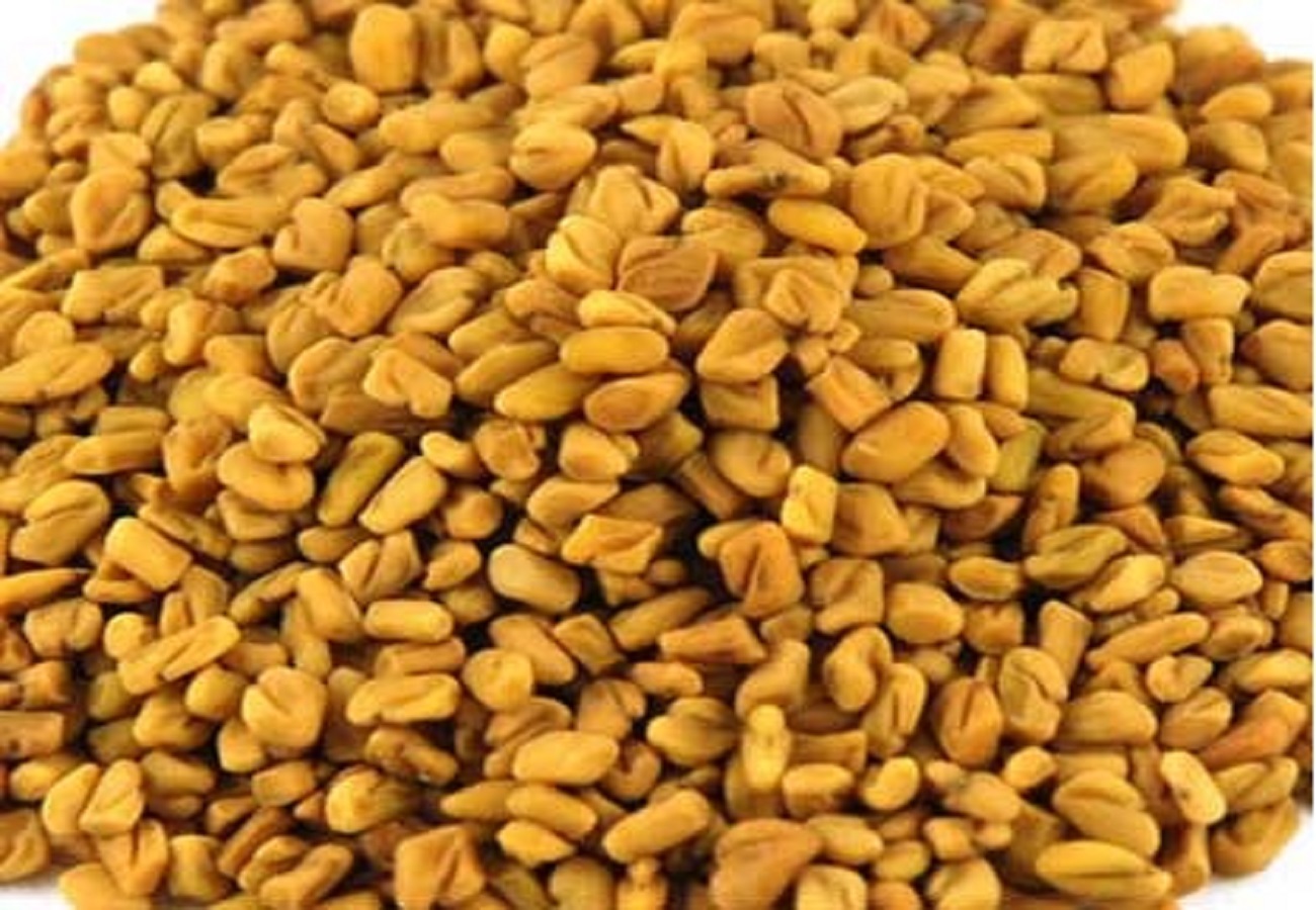 Methi Dana Fenugreek - 500 Gram